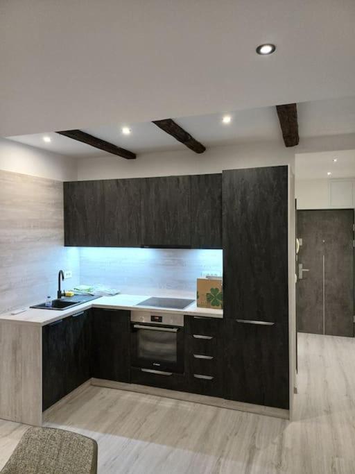 Apartman Ena Radiceva Загреб Екстериор снимка