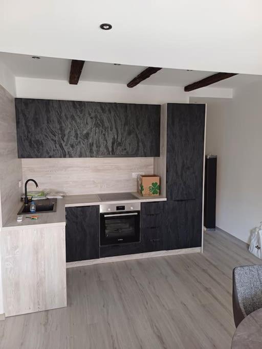 Apartman Ena Radiceva Загреб Екстериор снимка